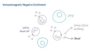 AbLearning™  Episode 2 Circulating Tumor Cell Isolation [upl. by Treat]