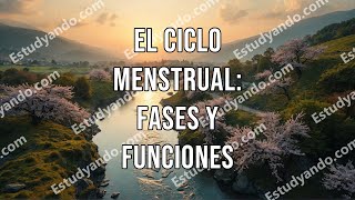 El ciclo menstrual fases y funciones [upl. by Asilaj541]