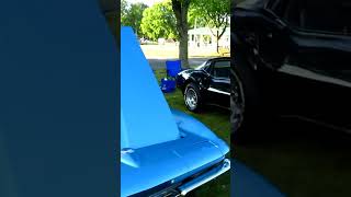 Michiana Corvette Club Car Show corvette carshow corvetteshow michiana vette carshowvideo [upl. by Lonni]