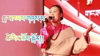 Tibetan Markham song སྨར་ཁམས་གཞས་མ་ ཚེ་རིང་ཆོས་སྒྲོན།། gorshey tibetanmusic dance music [upl. by Ycaj]