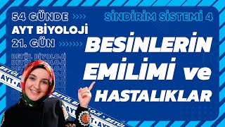 21 Besinlerin Emilimi ve Hastalıklar  Sindirim Sistemi  11 Sınıf  AYT Biyoloji Kampı 21 Gün [upl. by Eugirne438]