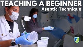 Teaching a Beginner Aseptic Technique [upl. by Limay]