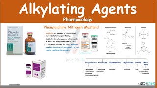 Alkylating Agents Pharmacology Examples MOA Adverse Effects [upl. by Christianity]