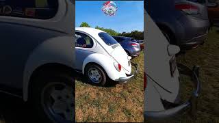 Volkswagen coccinelle [upl. by Dlanor110]