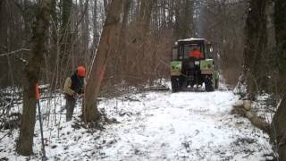 Holzrücken Teil 2 mit Fortschritt ZT323A [upl. by Geminian]