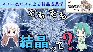 【ゆっくり解説】スノー＆ビスによる結晶成長学『01 結晶成長のアウトライン』 [upl. by Aw]