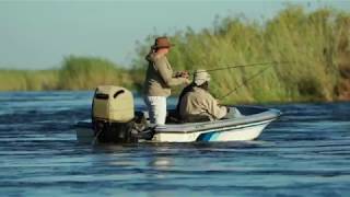 Chobe River Safari [upl. by Perkoff917]