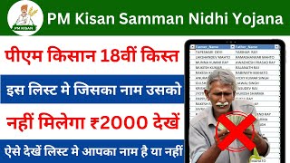 PM Kisan Yojana New Update 2024 l इस लिस्ट में जिसका नाम है उसे नहीं मिलेगा 18वीं किस्त का पैसा देखे [upl. by Yltnerb]