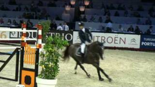 ♂ Jarnac jumping stallion SFA by Ryon dAnzex [upl. by Eetse]