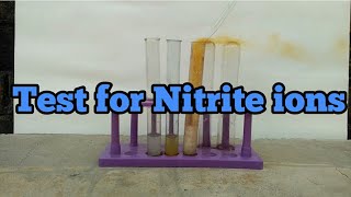 Test for Nitrite ions [upl. by Ahgiela]