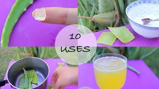 35 ALOE VERA BEAUTY RECIPES YOU WISH YOU KNEW BEFORE [upl. by Coreen]