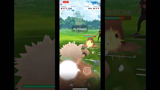 PRIMEAPE VS PILOSWINE pokemon pokemongo [upl. by Zoha]