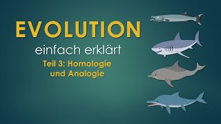 3 Homologie und Analogie  EVOLUTION einfach erklärt [upl. by Unni]