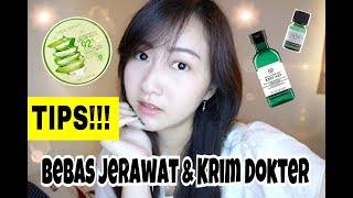 THE BODY SHOP TEA TREE OIL  NATURE REPUBLIC ALOE VERA GEL AMPUH UNTUK JERAWAT Bahasa [upl. by Nosae]