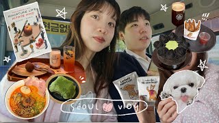 대만아내vlog서울 2박 3일 국제커플 말티즈 일상 브이로그 [upl. by Earaj95]