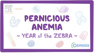 Pernicious Anemia Year of the Zebra [upl. by Atkinson332]