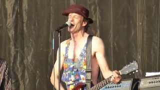 The Replacements  Alex Chilton ACL Fest 101214 Weekend 2 HD [upl. by Quincey881]