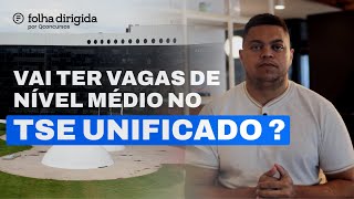 Concurso TSE Unificado vai ter vaga para nível médio [upl. by Deidre359]