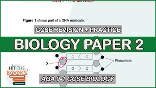 GCSE Biology Paper 2  Exam Questions and Revision [upl. by Monson]