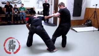 ADVANCED BUJINKAN JUJUTSUJUTAIJUTSU WITH SHIDOSHI DARREN DUMAS 1112014 [upl. by Linnet]