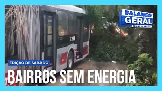 Queda de árvores causa falta de energia em diversos bairros da capital paulista [upl. by Zahc]