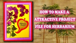 How to make a Herbarium project file  Attractive Project File for Herbarium [upl. by Esilehs]