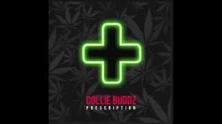 Collie Buddz – quotPrescriptionquot Official Audio [upl. by Nagoh]