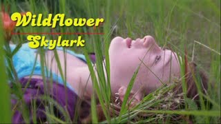 Wildflower Skylark HD [upl. by Buseck]