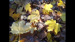 Bunt sind schon die Wälder  Variante Rap [upl. by Milzie592]