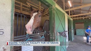 How an equine therapy center in helps veterans [upl. by Aicined430]