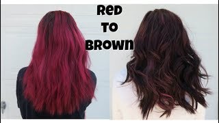 How to get RID of RED HAIR  ColorOops  Alyssa Nicole [upl. by Jeavons]