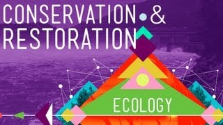 Conservation and Restoration Ecology Crash Course Ecology 12 [upl. by Warfourd]