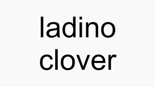 How to pronounce ladino clover [upl. by Zetrac]