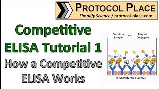 Competitive ELISA Tutorial 1 How a Competitive ELISA Works [upl. by Josee]