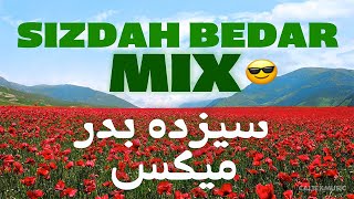 Sizdah Bedar 1403 Mix 💐  سیزده بدر ميكس [upl. by Durwood]