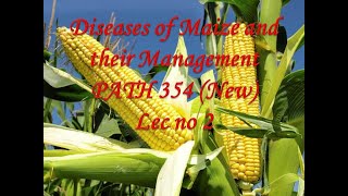 Diseases of Maize and their Management PATH 354 New Lec no 2 [upl. by Ailana668]