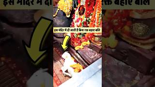 mysterious mundeshwari devi temple story amazing fact about sanatan dharm shortsfeed youtubefacts [upl. by Eerej]