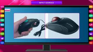 INPUT DEVICES class3 [upl. by Haymes]