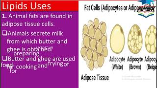 L8  Lipids Source and uses  ch14  10th Chemistry [upl. by Cleave]