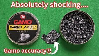 Testing the insane Gamo magnum high power pointed hunting air rifle pellets [upl. by Gaige]