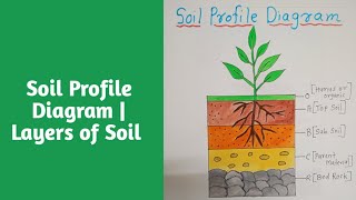 Soil Profile Diagram  Layers of Soil soilprofile layersofsoil artndesign youtubesearch drawing [upl. by Muldon803]