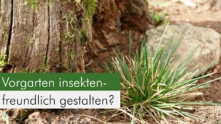 VorgartenUmwandlung in ein Insektenparadies mit Regenwasserversickerung [upl. by Poppo]