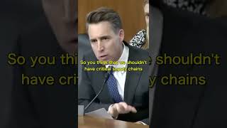 Sen Hawley BLASTS This Director For Shutting Down Mines In The United States DESTROYING Our Supply [upl. by Haisa]