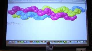 04 Biochemistry Protein PrimarySecondary Structure Lecture for Kevin Aherns BB 450550 [upl. by Corabelle]