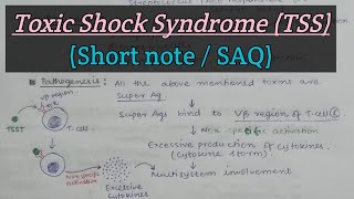 Toxic Shock Syndrome TSS  Staphylococcus aureus  Short answer question  M For Microbiology [upl. by Acilegna]