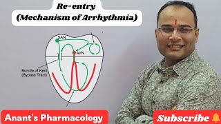 Reentry Mechanism of Arrhythmia [upl. by Ahselyt725]