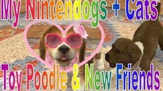 My Nintendogs  Cats Toy Poodle amp New Friends [upl. by Chester]