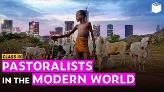 Pastoralists in the Modern World Introduction  Chapter 5  History  Class 9  PuStack [upl. by Gratianna]