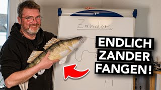 ZanderTipps vom Profi 🐟 Spots Drill Verhalten Ausrüstung  Geheimtipps [upl. by Ettedualc]