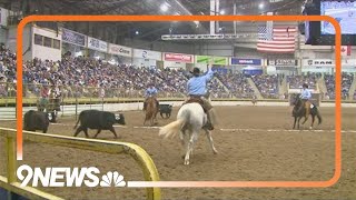 National Western Stock Show kicks off 2024 event in Denver [upl. by Attiuqal94]